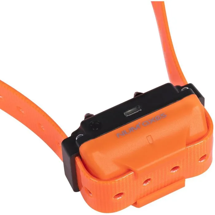 Num'Axes CANICOM R-800 Kit Completo de Adiestramiento para Perros Recargable Naranja - AAABJ45639