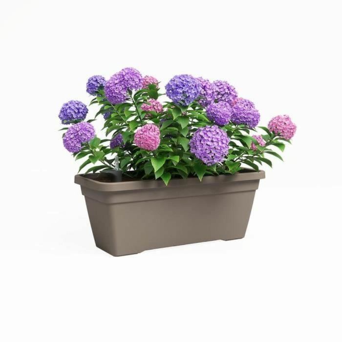 Artevasi 5600442822359 Jardinera Venezia L SWS 60 ma Taupe 1