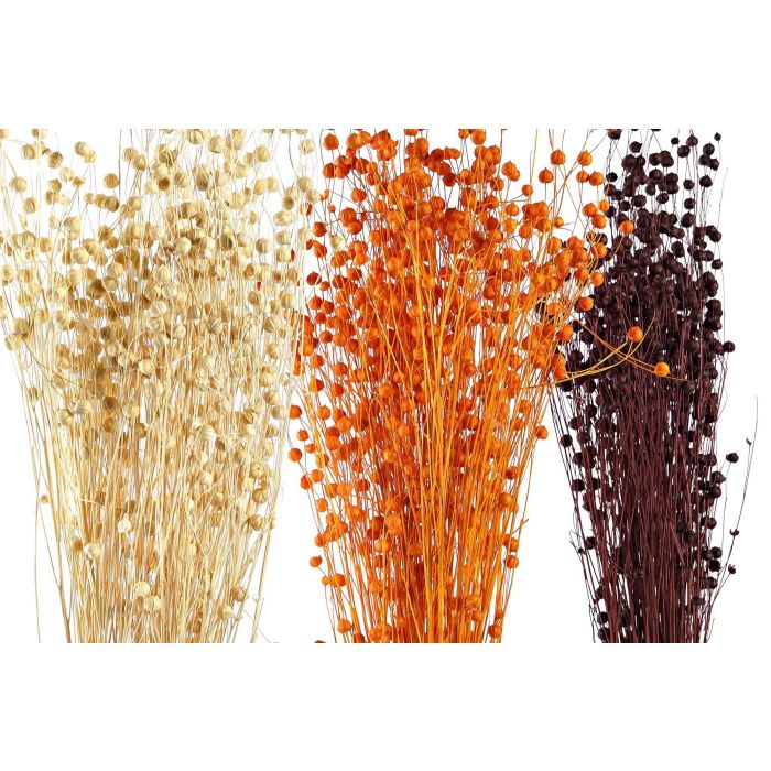 DKD Home Decor Ramo Cottage 10 x 70 x 10 cm Flor Seca Naranja Beige Burdeos Lino (12 Unidades) 1