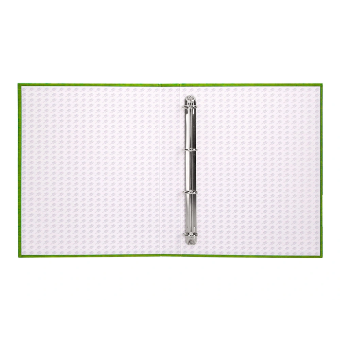 Liderpapel Carpeta 4 anillas 25mm folio cartón forrado verde frosty 6