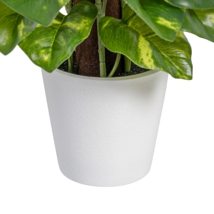 Potos Verde "Pvc" 16 X 16 X 25 cm