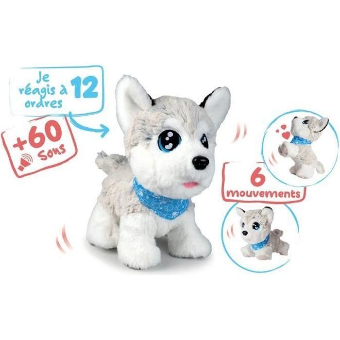 Ccl Husky Interactivo Ccl Husky Interactivo