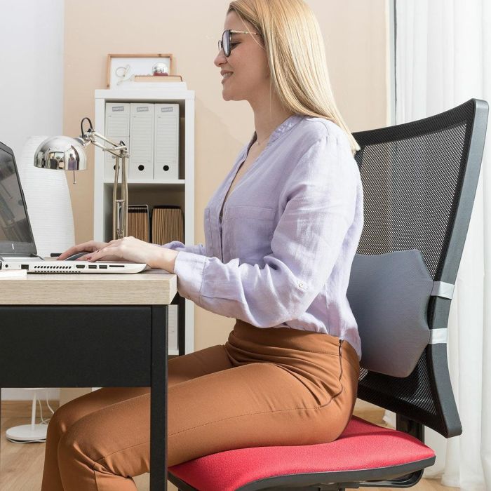 Cojín Lumbar de Gel con Funda Extraíble Glushion InnovaGoods