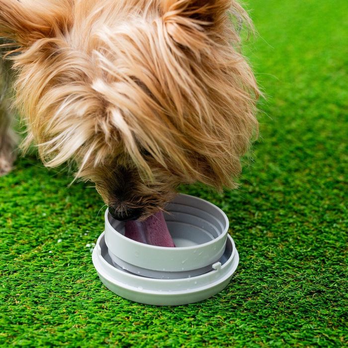 Correa Retráctil para Perros 6 en 1 Leashic InnovaGoods 4 Correa Retráctil para Perros 6 en 1 Leashic InnovaGoods 4