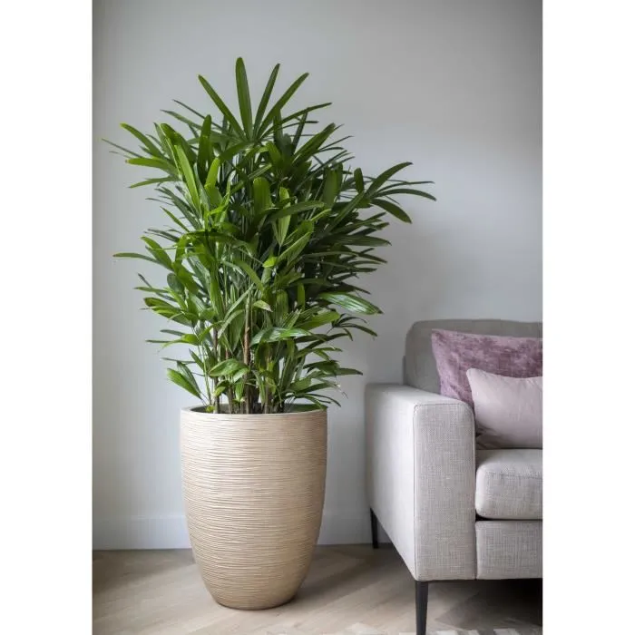 Capi Europe Jarrón bajo elegante WASTE RIB NL 46 x 58 cm Terrazo beige 1