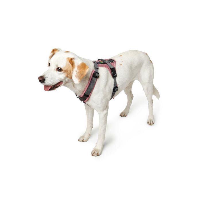 Hunter Arnés para Perro Maldon Up Talla L, Cuello 66-118 cm, Vientre 69-105 cm, Rosa Claro, Acolchado, Reflectante 3M Scotchlite 2 Hunter Arnés para Perro Maldon Up Talla L, Cuello 66-118 cm, Vientre 69-105 cm, Rosa Claro, Acolchado, Reflectante 3M Scotchlite 2