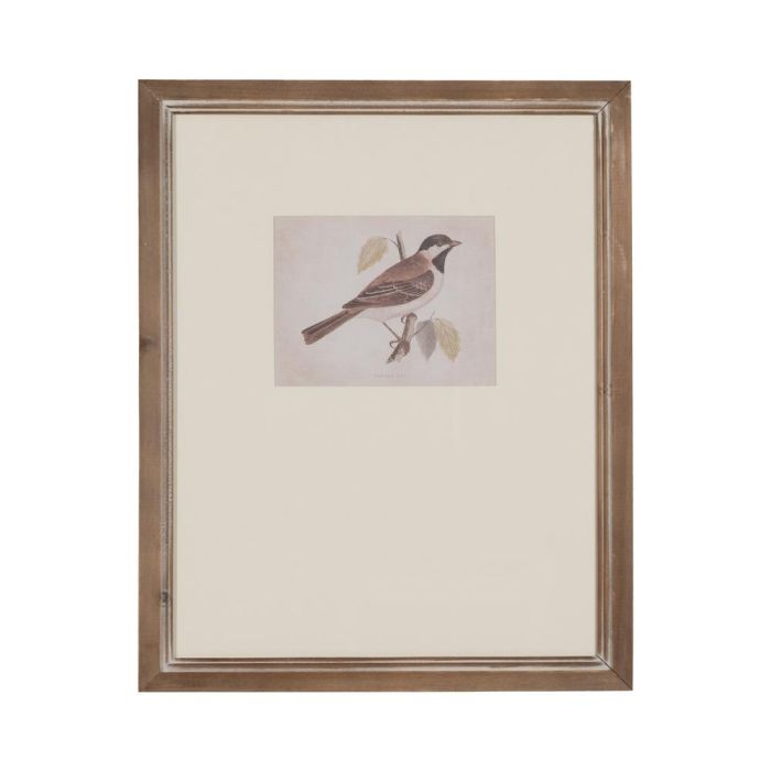 Cuadro Impresión Pájaros 2/M 43 X 2 X 53 cm