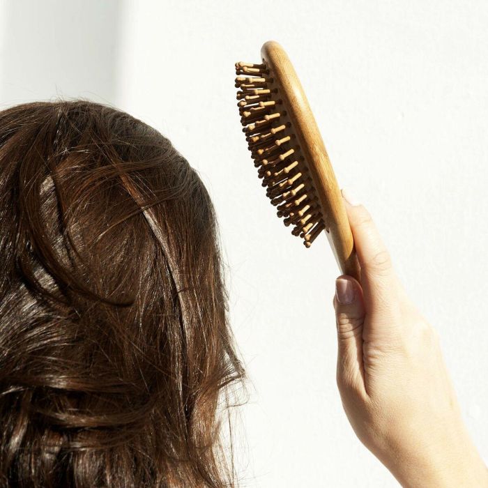 The Organic Republic Cepillo para el Pelo de Bambú y Caucho Natural con 9 Filas de Púas para Desenredar Suave 1 Unidad 1 The Organic Republic Cepillo para el Pelo de Bambú y Caucho Natural con 9 Filas de Púas para Desenredar Suave 1 Unidad 1