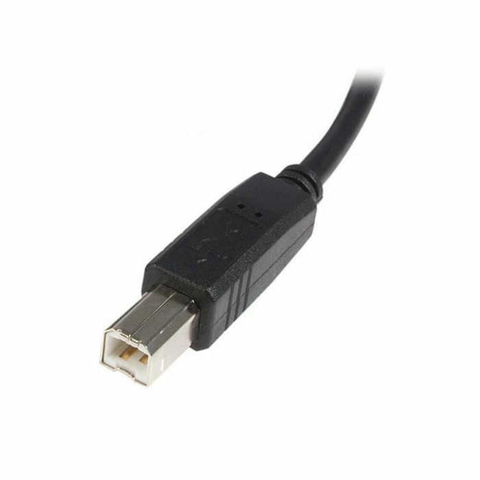 Cable USB A a USB B Startech USB2HAB5M Negro 2