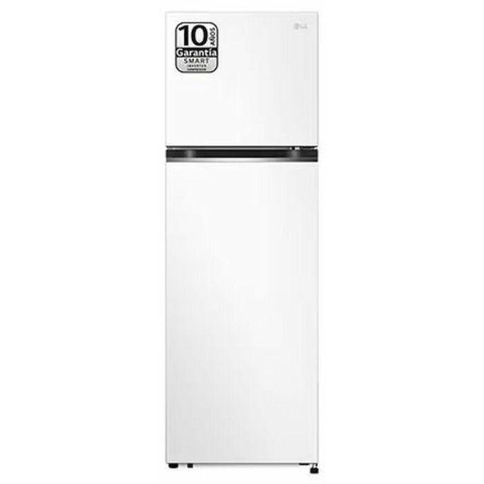 Frigorífico combinado LG GTBV20SWGKD Frigorífico combinado LG GTBV20SWGKD