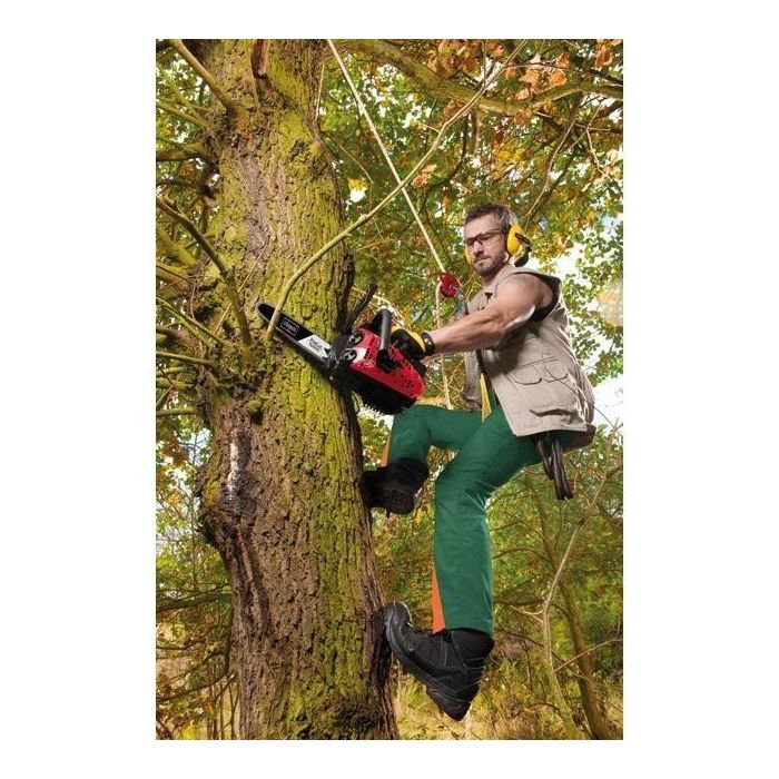 Scheppach CSP2540 Podadora de Gasolina, Motor 2 Tiempos 25.4 cc, Cadena ProCut y Barra Guía de 25 cm para Alto Rendimiento 2 Scheppach CSP2540 Podadora de Gasolina, Motor 2 Tiempos 25.4 cc, Cadena ProCut y Barra Guía de 25 cm para Alto Rendimiento 2