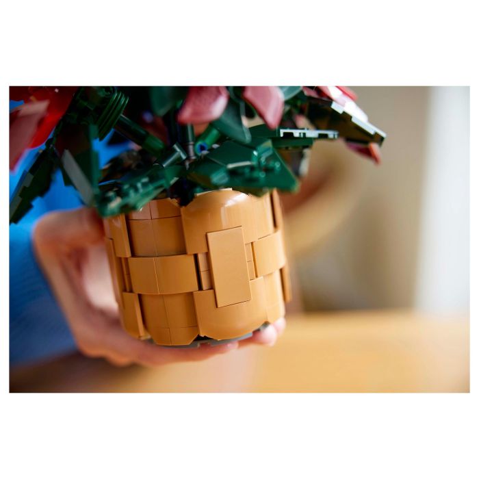 LEGO 10370 Icons Flor de Pascua, Juego Construcción 608 Piezas, 18+ Años 13