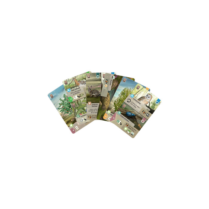 Juego Mesa Forest Shuffle Dartmoor 2 Juego Mesa Forest Shuffle Dartmoor 2