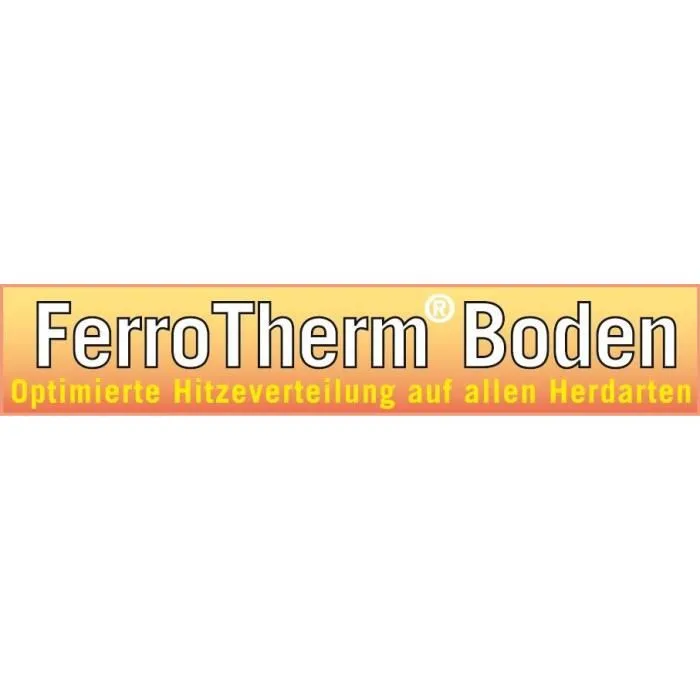 GSW Freidora 488204 Inducción Acero Inoxidable con Tapa de Cristal 22 cm 5