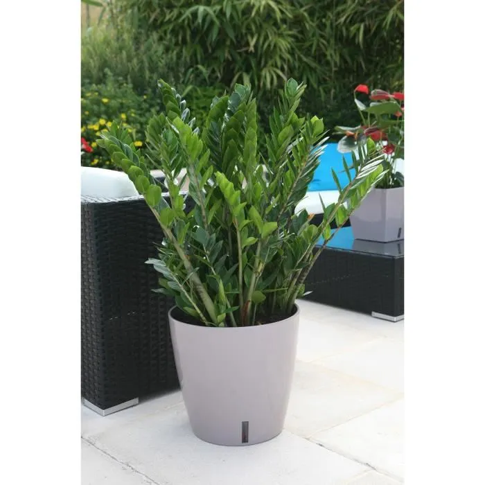 Riviera Eva Nueva Maceta Redonda de Plástico - Ø 46 cm - 49 L - Taupe 1