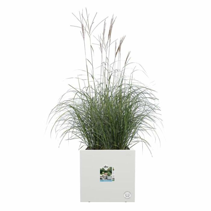 Jardinera Elho Vivo Next Square 30 - Blanco - Ø 30 x H 29 cm - interior/exterior - 100% reciclado 1