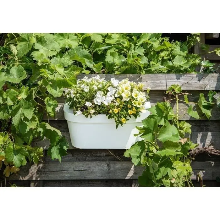 Garden Id Jardinera Star Blanco 50 x 21 cm 05011901 con Reserva de Agua Fabricada en Material Reciclado y Reciclable 1 Garden Id Jardinera Star Blanco 50 x 21 cm 05011901 con Reserva de Agua Fabricada en Material Reciclado y Reciclable 1