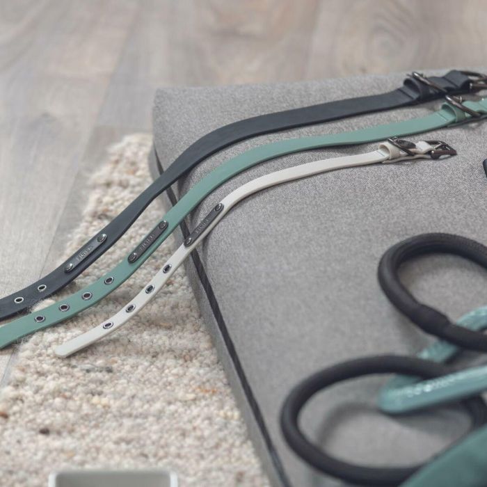 Collar para Perro Trixie CityStyle Negro L 45-52 cm 42-52 cm 2