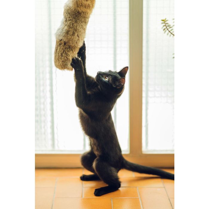 Gloria Cojín Grande Gehry para Gato Piel de Conejo 100% Natural Fabricado en España 40x11 cm 5