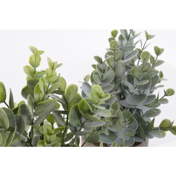 Planta DKD Home Decor Verde Verde Musgo 11 x 24 x 11 cm (12 Unidades) 2