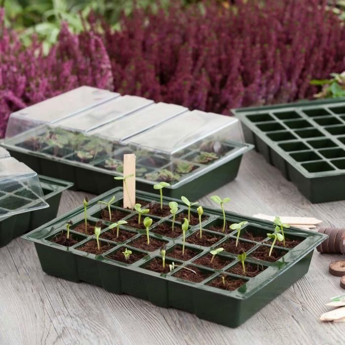 Mini invernadero de cultivo 23.5x35x11 cm 2 Mini invernadero de cultivo 23.5x35x11 cm 2