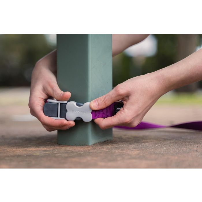 Red Dingo Correa Superlead Naranja 20 mm x 1.1-1.8M, Correa Ajustable Manos Libres para Perros 3