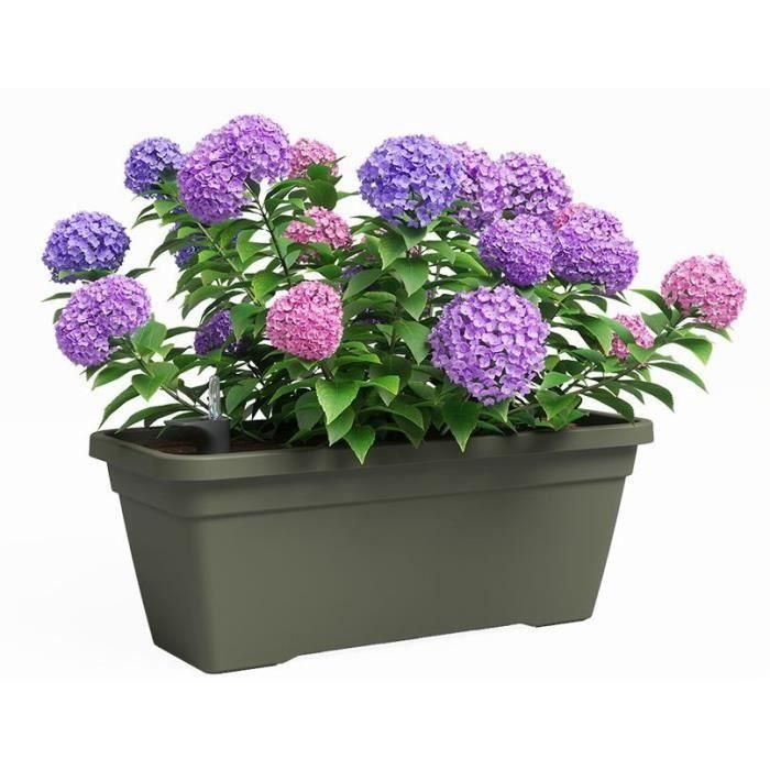 Jardinera - Plástico - Verde seco - Rectangular - L77,9 x P24 x H22cm - ARTEVASI 1 Jardinera - Plástico - Verde seco - Rectangular - L77,9 x P24 x H22cm - ARTEVASI 1