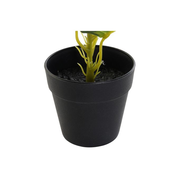 DKD Home Decor Planta Diefembaquia Verde y Negra de PVC y PP, Ancho 25cm, Largo 25cm, Alto 30cm 2