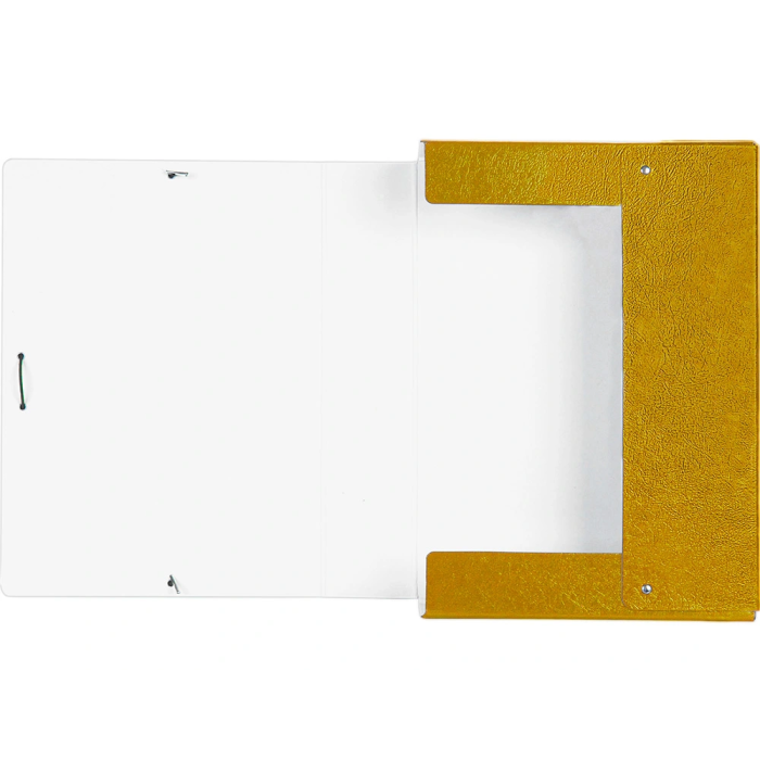 Liderpapel Carpeta Proyectos Folio Lomo 70mm Cartón Gofrado Amarillo 245 x 345 mm 2