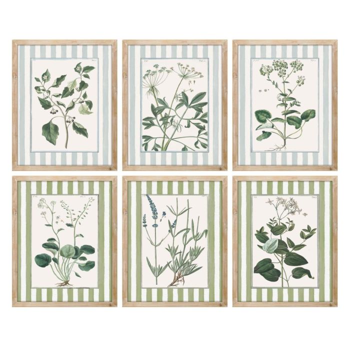 DKD Home Decor Cuadro Shabby Verde Blanco Abeto Cristal 40 x 30 x 2.5 cm (6 Unidades)