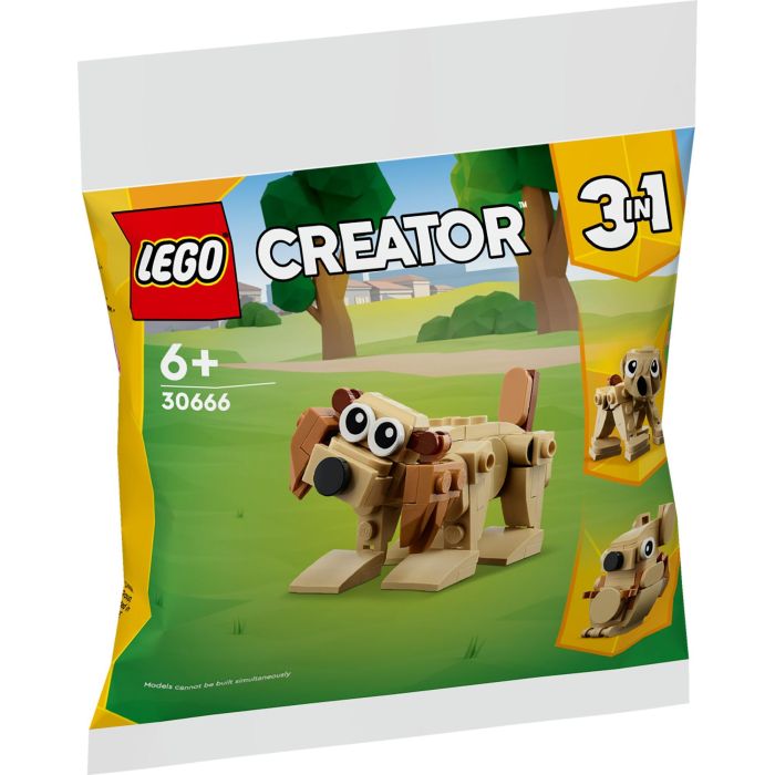 LEGO 30666 Creator 3-in-1 Geschenkset mit Tieren (Polybag) 3 LEGO 30666 Creator 3-in-1 Geschenkset mit Tieren (Polybag) 3