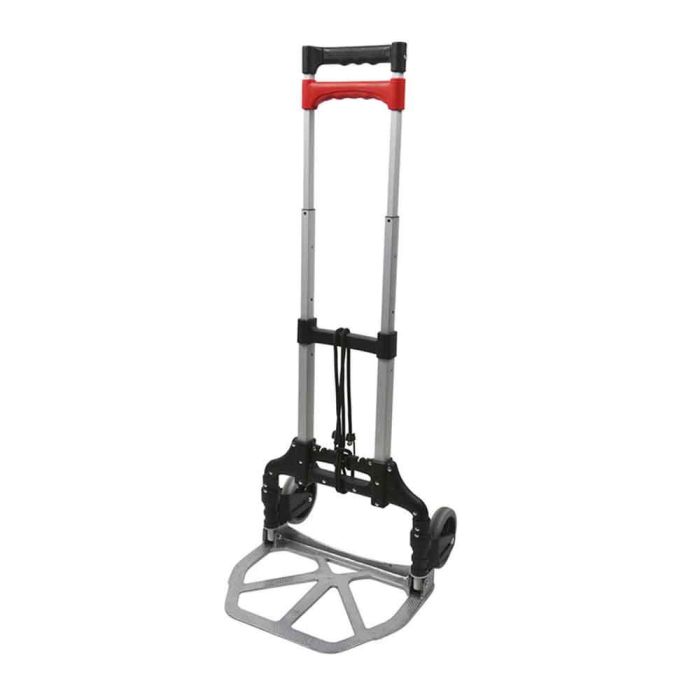 Edm Carrito de transporte plegable reforzado, aluminio, max 60kg, 100x29x23 cm