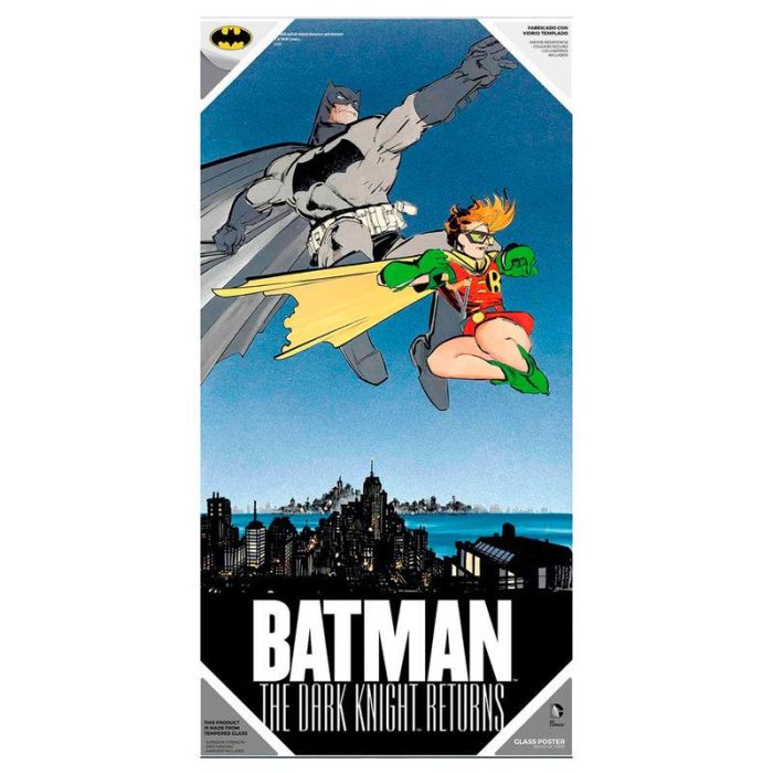 SD TOYS Poster cristal Batman y Robin DC Comics 30x60cm con soporte para colgar