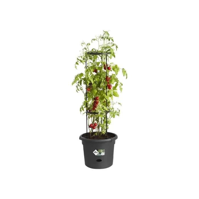 Elho Green Basics Pote para Tomate 33 cm Negro Brillante 2