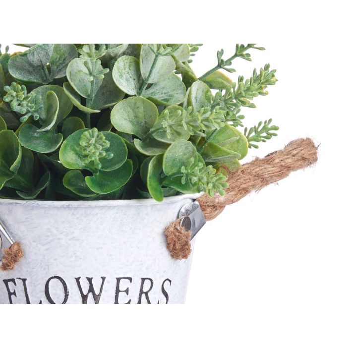 Planta Flor Verde Envejecid Bote Metal 24Cm Surtidos Ibergarden (12 Unidades) 3 Planta Flor Verde Envejecid Bote Metal 24Cm Surtidos Ibergarden (12 Unidades) 3
