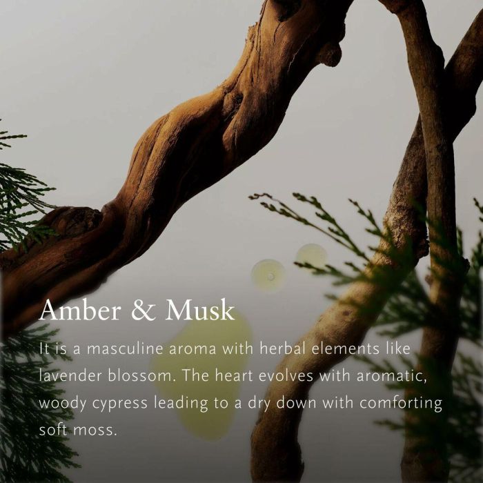 Rituals HOMME difusor de ambiente para coche, aroma ámbar y almizcle, 3 g 3