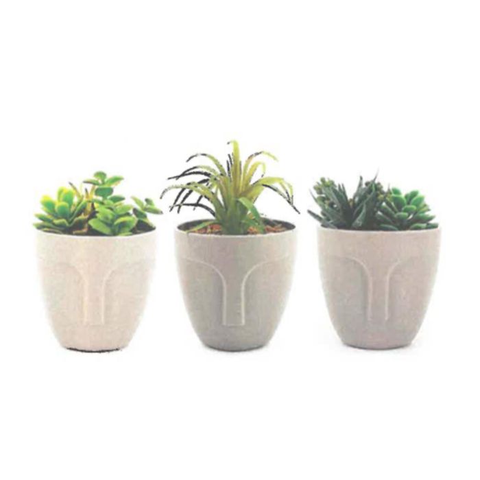 Planta Urban DKD Home Decor Gris Verde 11 x 15 x 11 cm (3 Unidades)