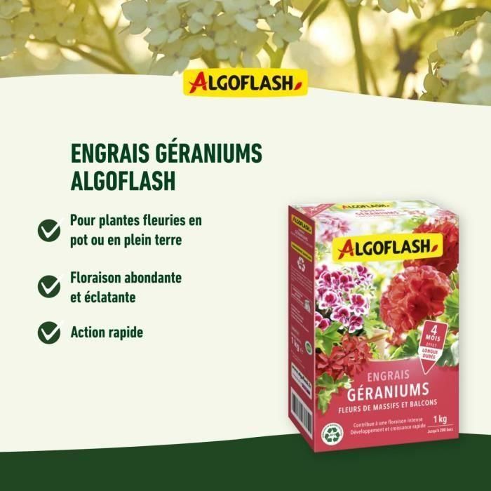 Algoflash Naturasol SMART1N Fertilizante para Geranios, Flores de Camas y Balcones, 1 kg 2