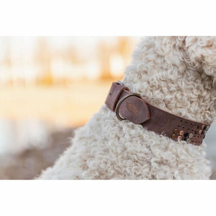 Collar para Perro Trixie Rustic Marrón oscuro M 3 Collar para Perro Trixie Rustic Marrón oscuro M 3