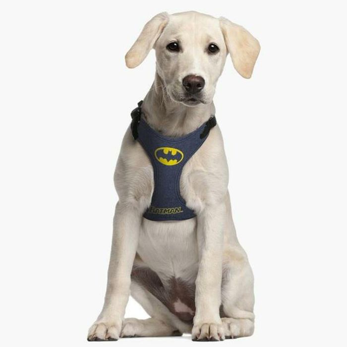 Arnés para Perro Batman XXS/XS Azul 8