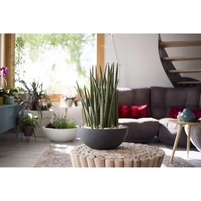 Eda Maceta Graphit'Up Ø 40 - 14,9L - Gris Antracita 2