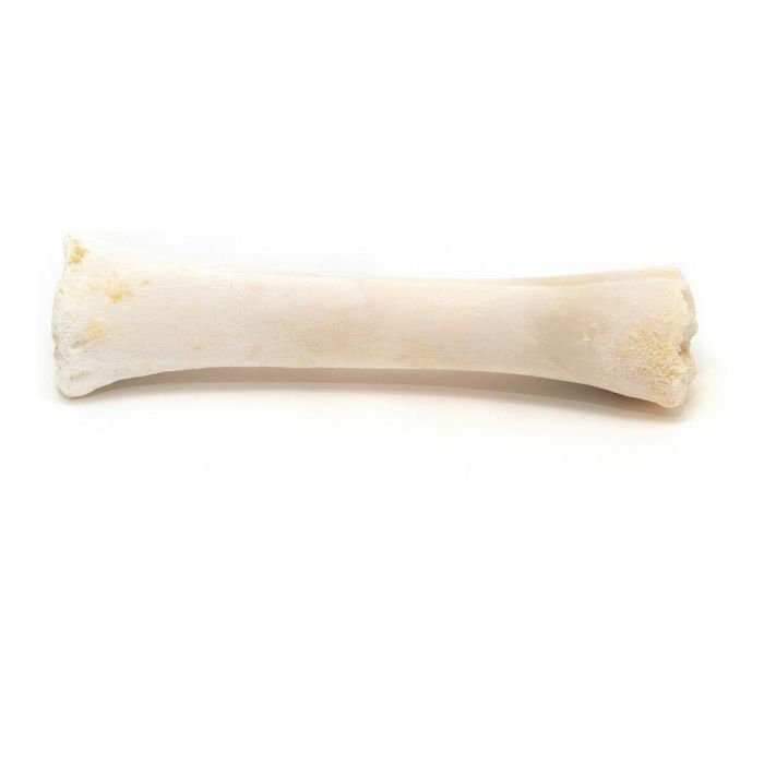 Snack para Perros Gloria Hueso Calcio 20 Unidades 4 Snack para Perros Gloria Hueso Calcio 20 Unidades 4