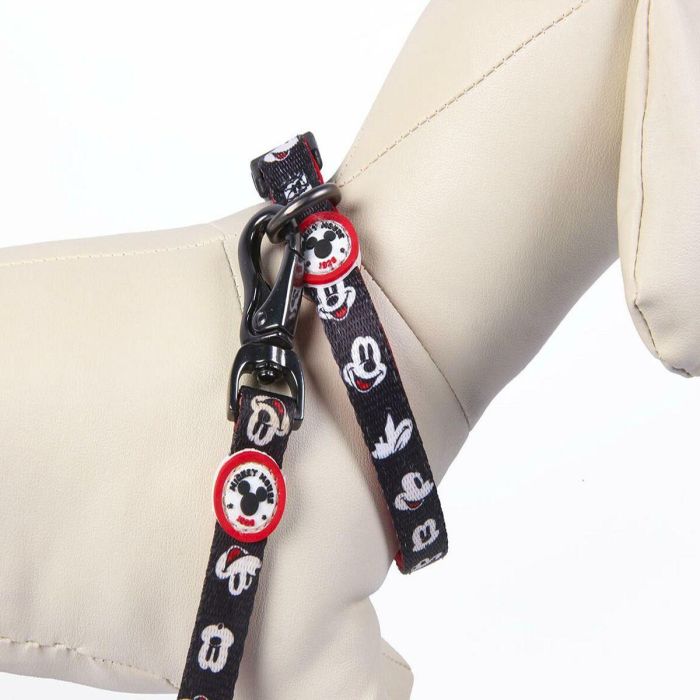 Collar premium para perros XS/s mickey t2XS:XS/s 3 Collar premium para perros XS/s mickey t2XS:XS/s 3