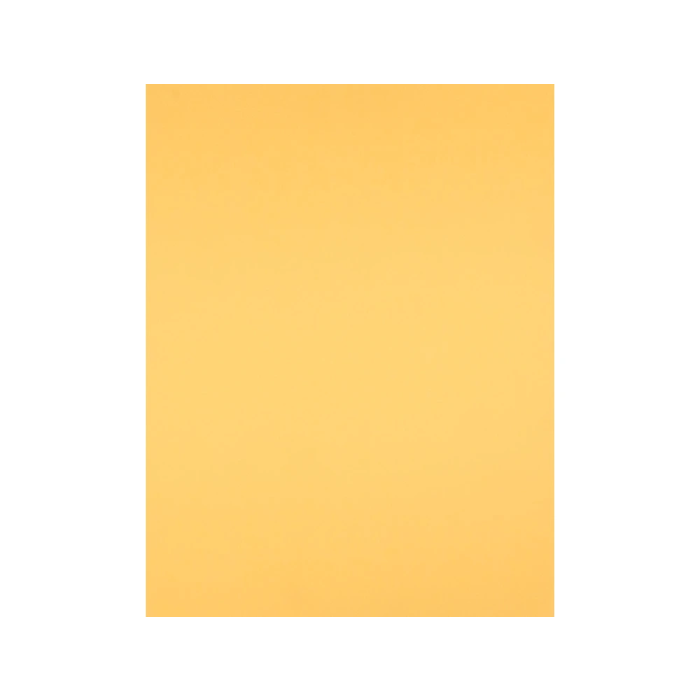 Liderpapel Cartulina Oro 50x65 cm 180 gr Paquete 25 Hojas Dibujo Manualidades 2