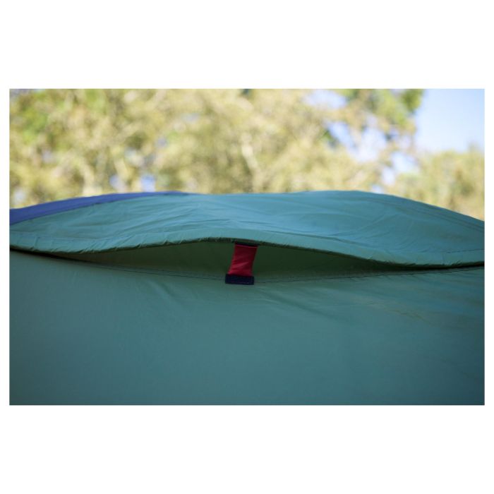 Coleman Darwin 4 Plus Tienda de Campaña Iglú para 4 Personas, 7.8 m², con Vestíbulo, Verde