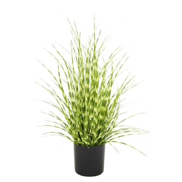 Planta DKD Home Decor Verde 20 x 60 x 20 cm (6 Unidades)