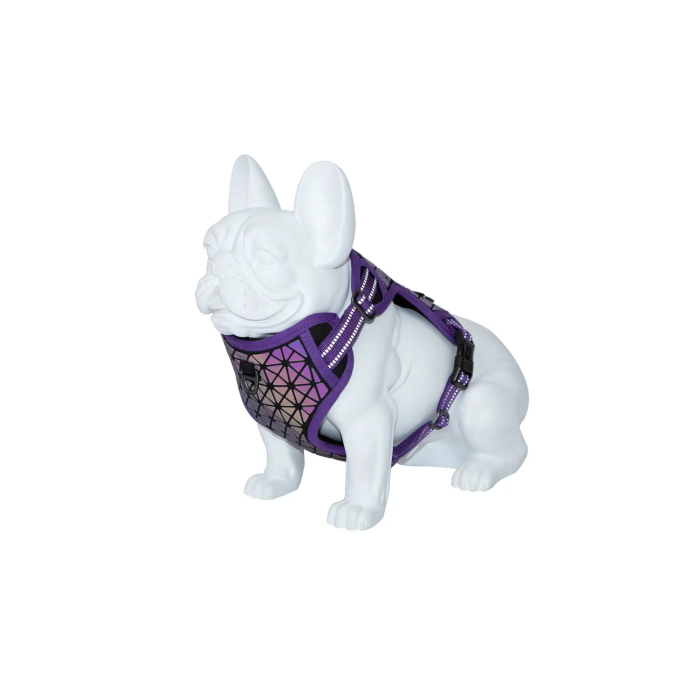 Freedog Arnés Boreal Lila 20 mm, Cuello 38-59 cm, Peso 38-75 cm