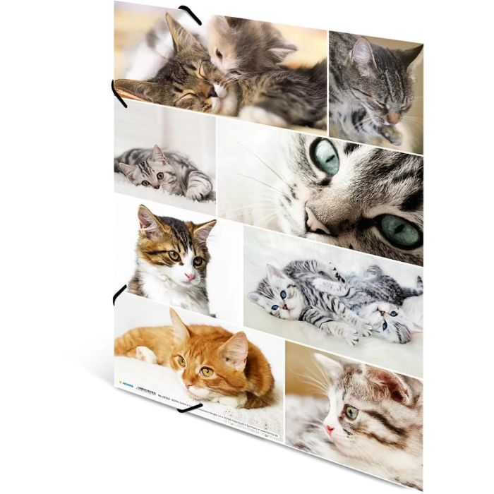 HERMA Sammelmappe A3 Katzen Pappe 2 HERMA Sammelmappe A3 Katzen Pappe 2