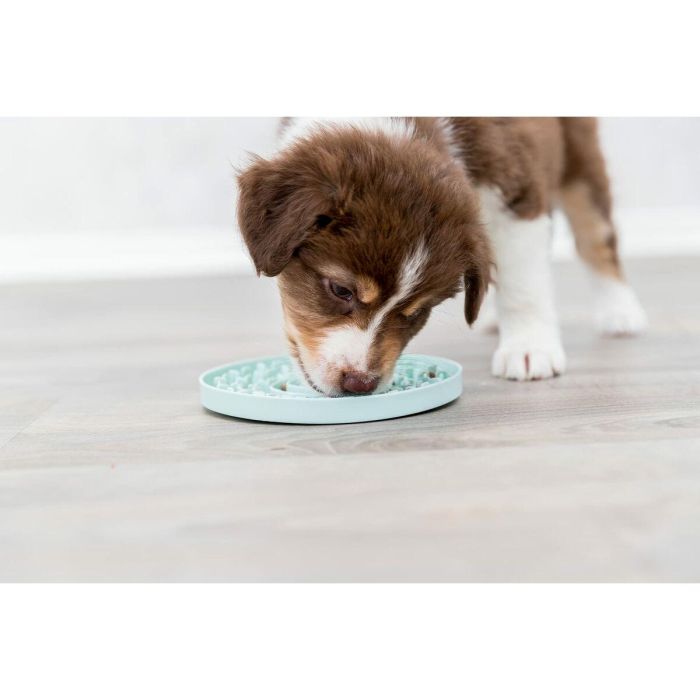 Comedero para Mascotas Trixie Junior Licking Verde Menta (1 Pieza) 8