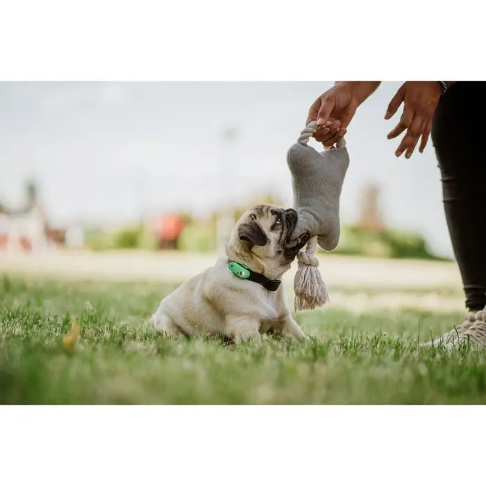 Tickless Repelente Ultrasónico Mini Dog & Cat Protección contra Pulgas y Garrapatas Mentha Green TIC5999566451683 4